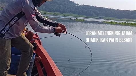 Mancing Patin Liar Di Waduk Cirata Memakai Joran Ultralight Sensasinya