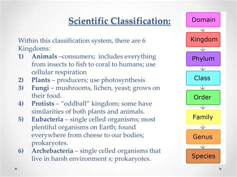 Ppt 7 Th Grade Test Review Powerpoint Presentation Free Download Id 2647501