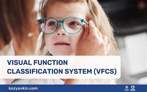 Visual Function Classification System