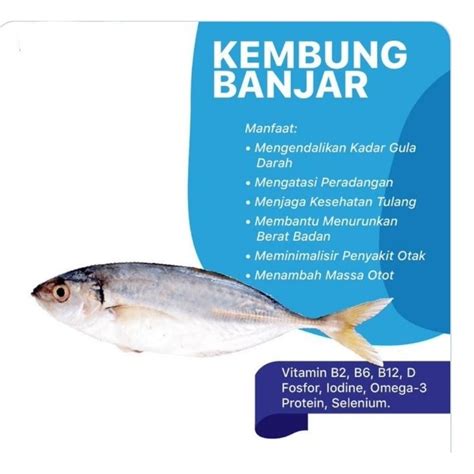 Jual Ikan Kembung Banjar Besar Segar 1kg Shopee Indonesia