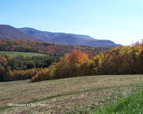 Fall foliage Berkshire Hills Massachusetts 8x10 landscape