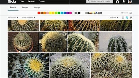 Flickr Introduce La B Squeda De Im Genes Por Similitud Superdeporte