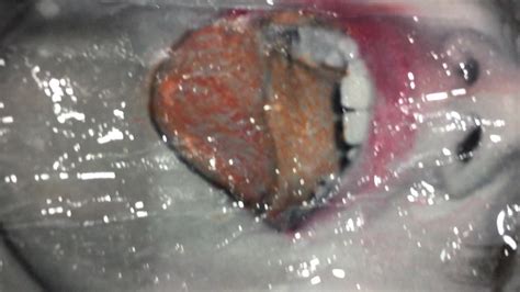 Camilla S Slutty Friend Gay Man Porn Xhamster