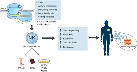 Genetic Reprogramming For Nk Cell Cancer Immunotherapy With Crisprcas9