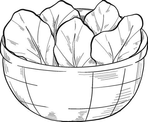 Bowl With Lettuce Coloring Page ColouringPages