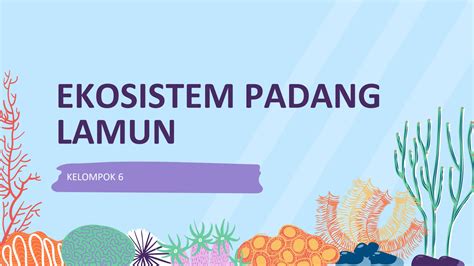 Solution Ekosistem Padang Lamun Studypool