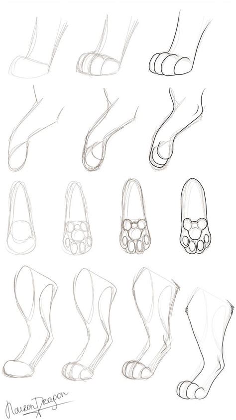 How To Draw A Cat Paw