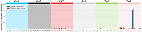 Cosmic Sbs Mutational Signatures