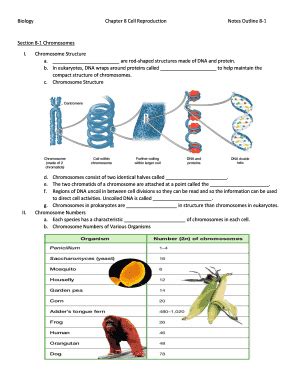 Fillable Online Biology Chapter Cell Reproduction Notes Outline