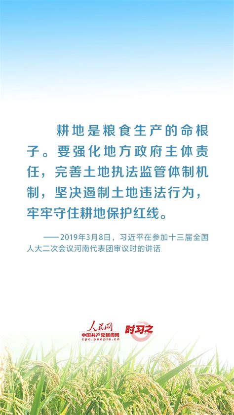 全方位夯實糧食安全根基 習近平強調切實加強耕地保護中國網