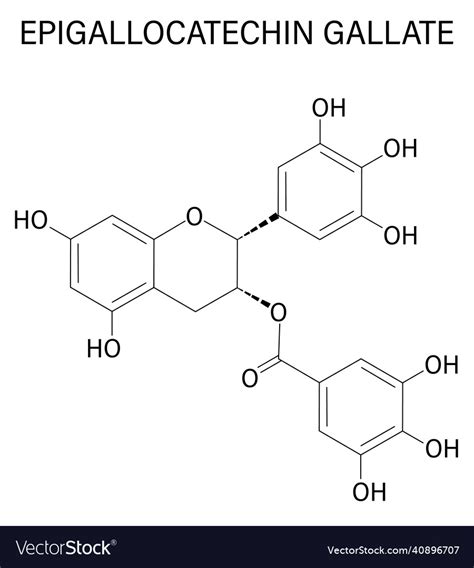 Epigallocatechin Gallate Or Egcg Molecule Vector Image