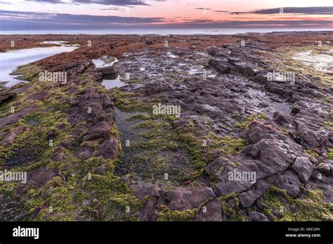 Holy Island Lindisfarne Sunset Hi Res Stock Photography And Images Alamy