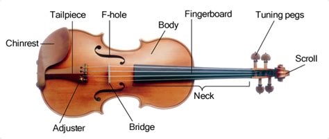 The Structure Of The Violinlearn The Parts Of The Violin Musical