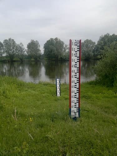 Warta River Measuring Sticks Tracy Rolling Flickr