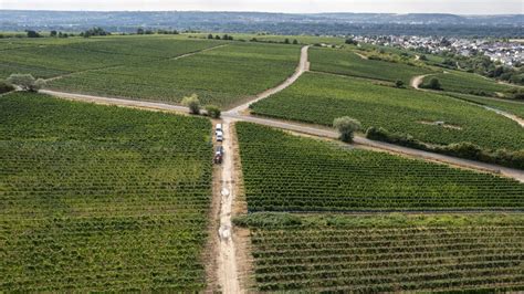 Weinbau In Deutschland Hat Der Riesling Noch Zukunft