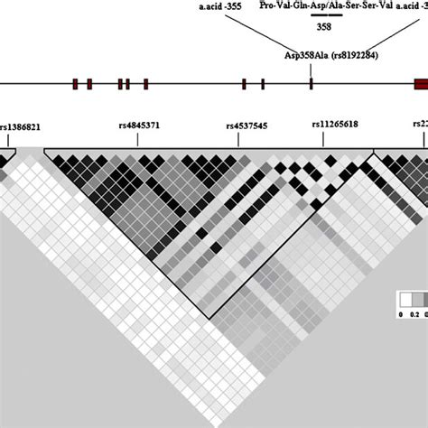 Structure of the interleukin 6 receptor (IL-6r) locus and linkage... | Download Scientific Diagram