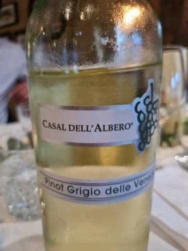 Casal Dell Albero Pinot Grigio Delle Venezie Vivino Us