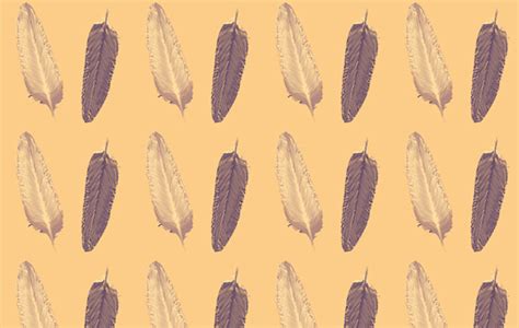 FREE 15+ Vector Feather Patterns in PSD | Vector EPS