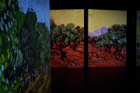 Prorogata Fino Al Ottobre La Mostra Van Gogh Alive The Experience