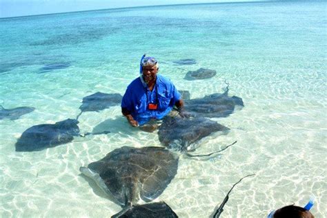 West End Ecology Tours Is One Of The Very Best Things To Do In Nassau