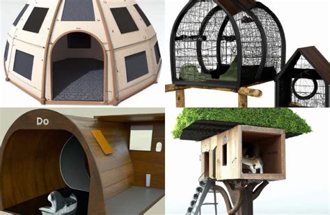 Trailblazing Dog House Designs to Inspire Your Next DIY Project