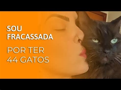 Sou fracassada por ter 44 gatos Gato é Vida YouTube