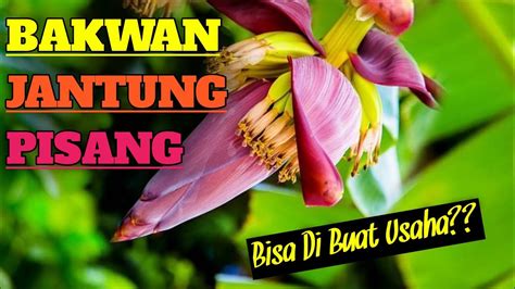 Bikin Bakwan Dari Jantung Pisang YouTube