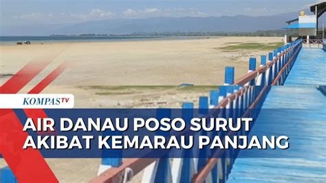 Air Danau Poso Surut Karena Kemarau Panjang Dan Siklus Tahunan Youtube