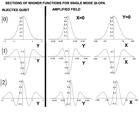 Sections Of The Input States Wigner Functions And Of The Relatives