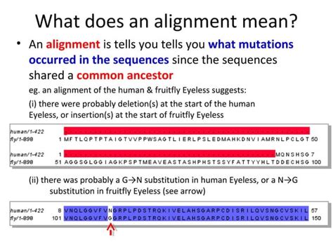 Pairwise Sequence Alignment Ppt