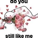 I M Horny On Tumblr