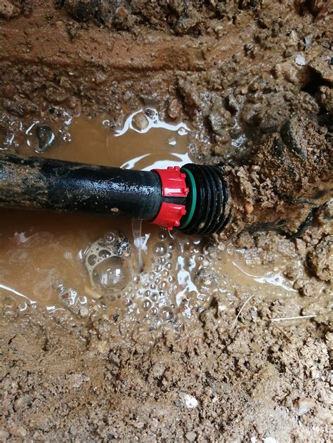 How To Know If You Have An Underground Water Leak How To Find The