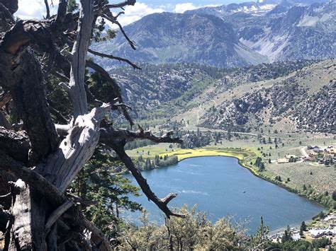 Photos of June Lake Loop Trail - California | AllTrails