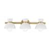 Savoy House Meridian 24 50 In 3 Light Natural Brass Vanity Light With