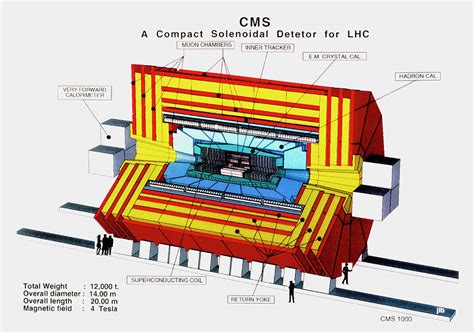 Diagram Of Cms Detector For Lhc At Cern Photograph By Cernscience