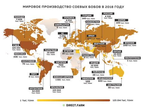 Страны-лидеры по производству сои