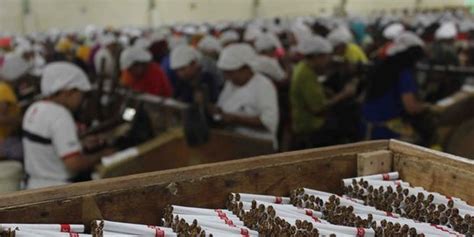 Kurangi Dampak Rokok Pemerintah Diminta Perkuat Regulasi Produk