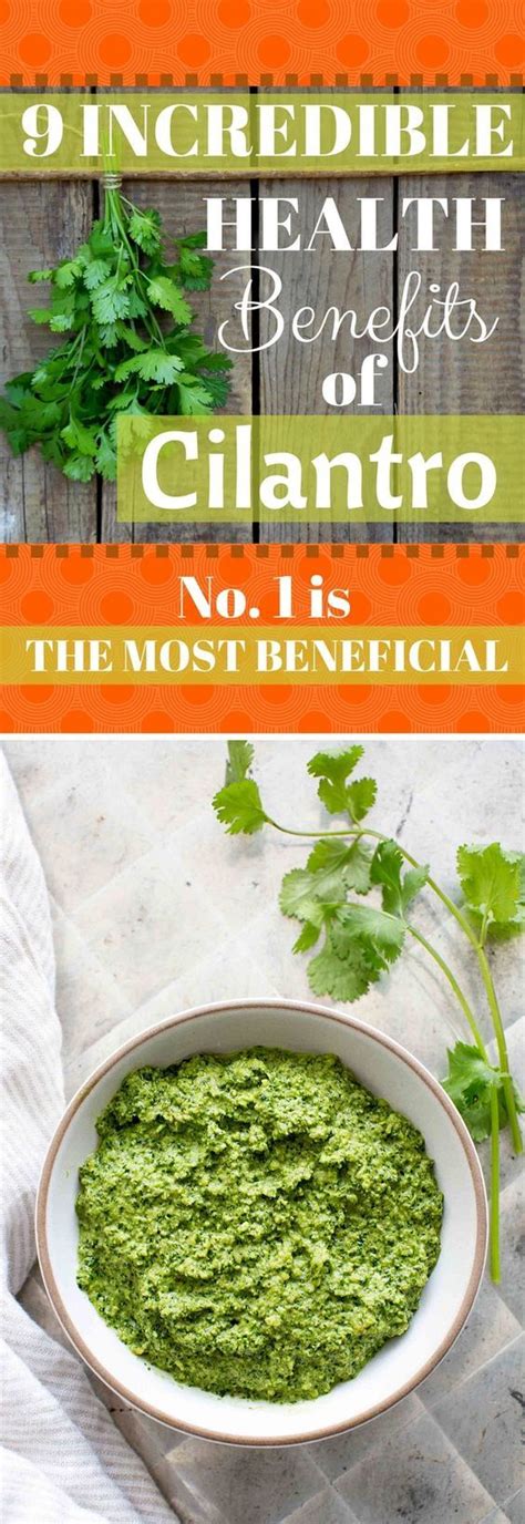 9 Incredible Health Benefits Of Cilantro No 1 Is The Most Beneficial