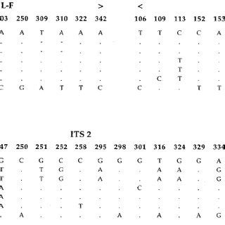 Comparison Of The Parsimony Informative Sites Of The Combined CpDNA And