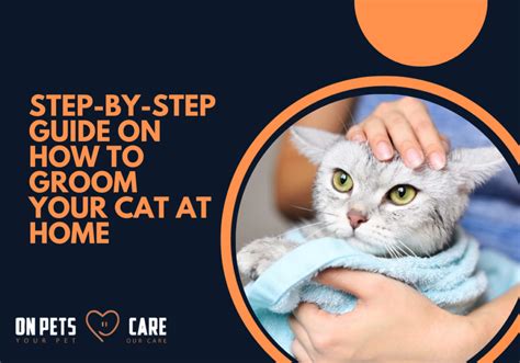 How To Groom Your Cat At Home Cat Grooming Tools