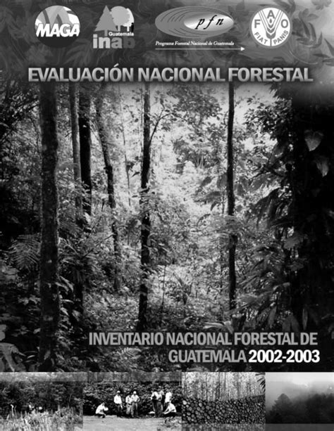 Descargar El Informe Final Del Inventario Forestal Nacional