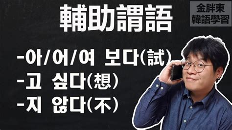 ㉘【有系統地學韓語語法5】 韓語文法結構 謂語部②輔助謂語【 고 싶다 지 않다 아어여 보다】金胖東韓語學習 Youtube