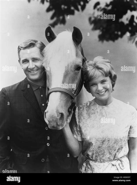 MR. ED, Alan Young, Mr. Ed, Connie Hines, 1961-66 Stock Photo - Alamy