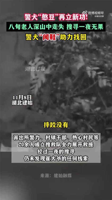 「鸡腿满上！老人深山走失30小时被警犬找到」近日，湖北恩施建始县，一位八旬老人走失。警犬“憨豆”“牛牛” 以老人的鞋子作为嗅源，协助民警搜寻