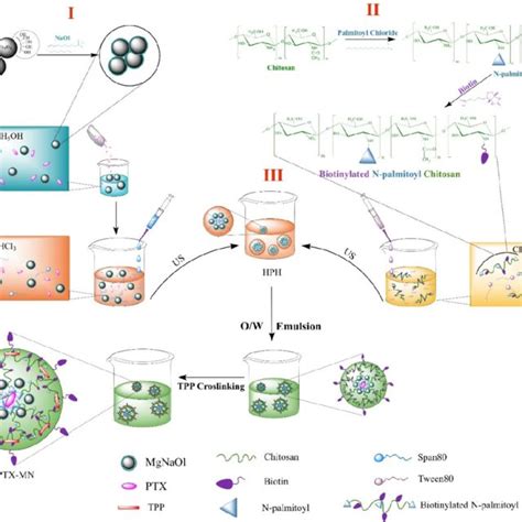 Schematic diagram of the composite magnetic nanoparticles synthesis ...