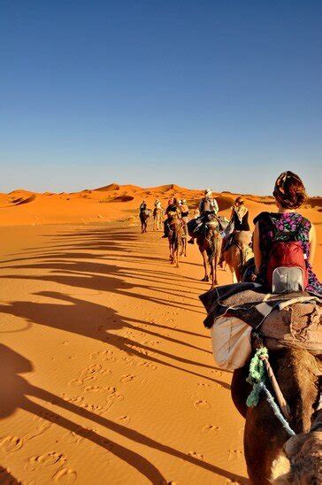 Morocco Camel Trekking Merzouga