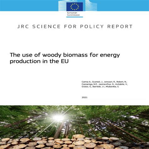 Report Jrc Science For Policy Report The Use Of Woody Biomass For