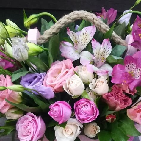 Зеленый мир Цветы Вольск | Volsk