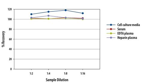 Human C Reactive Protein CRP Quantikine ELISA Kit DCRP00B By R D