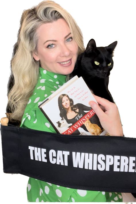 cat whisperer discovery  mieshelle nagelschneider